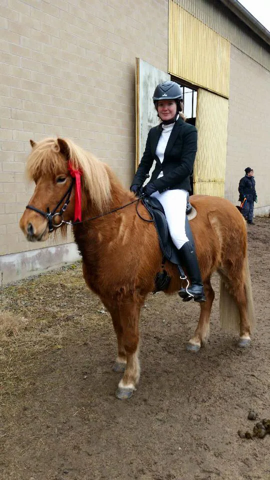 Hanna på Tollans i Härryda i närheten av Göteborg har fått en rosett på en tävling med en islandshäst