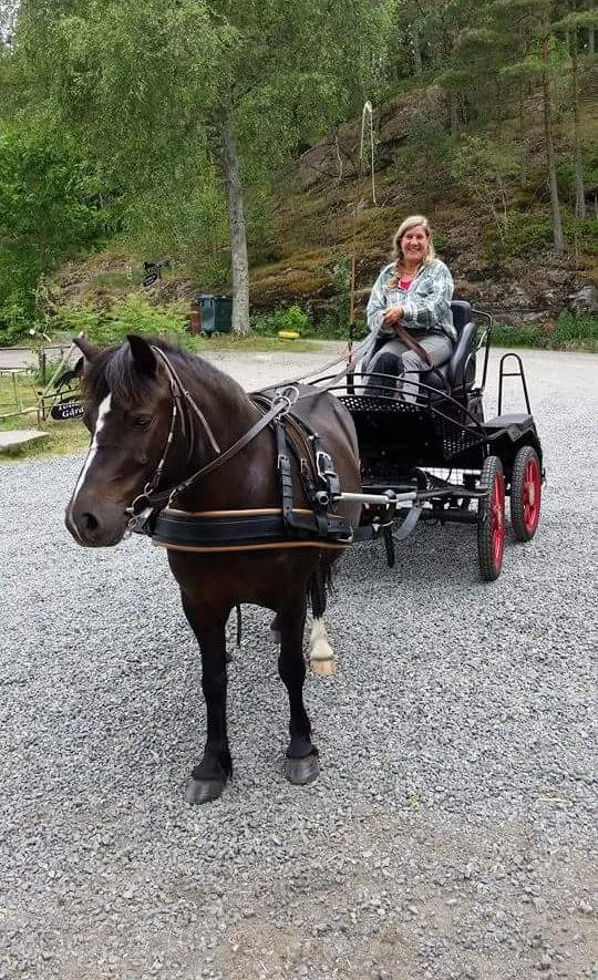 Inga-Lill kör häst o vagn i Härryda i närheten av Göteborg